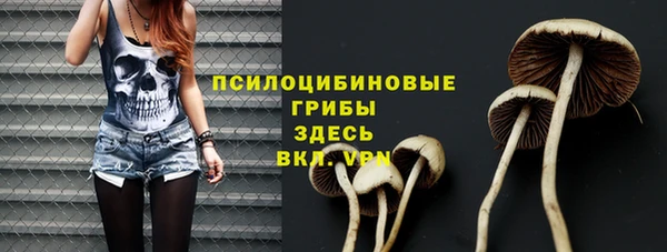 мескалин Алексин