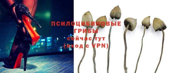 PSILOCYBIN Алексеевка