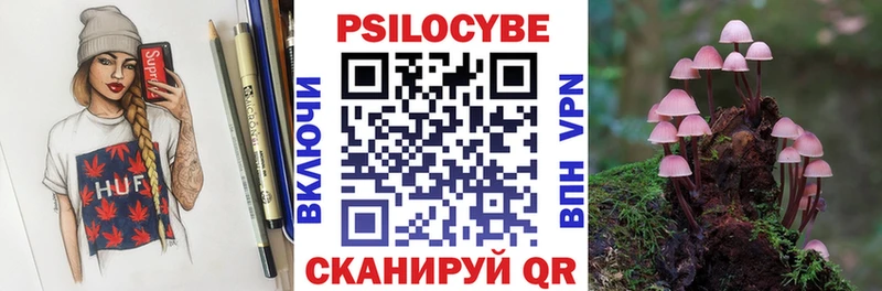 Галлюциногенные грибы MAGIC MUSHROOMS  купить  цена  Переславль-Залесский 